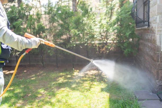 Emergency Pest Control Services in Twin Lakes, CA